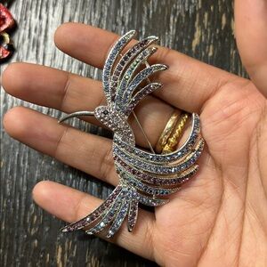 Multicolor Humming Bird Brooch 🐦